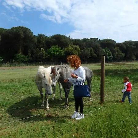 Nettuno 1a Tatil Evi *