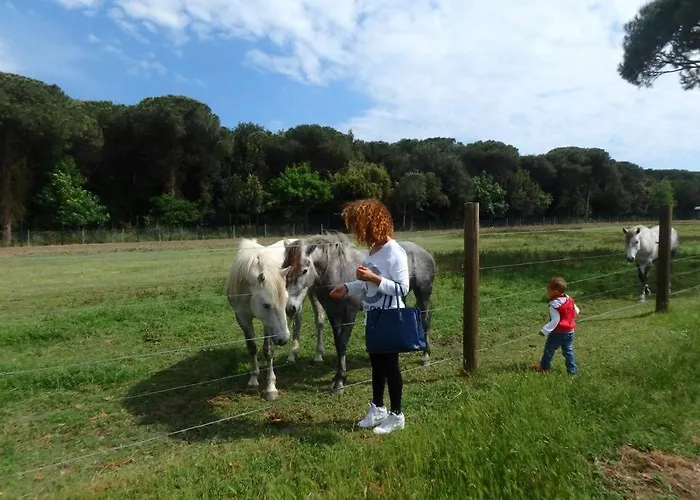 Nettuno 1a Vakantiehuis *